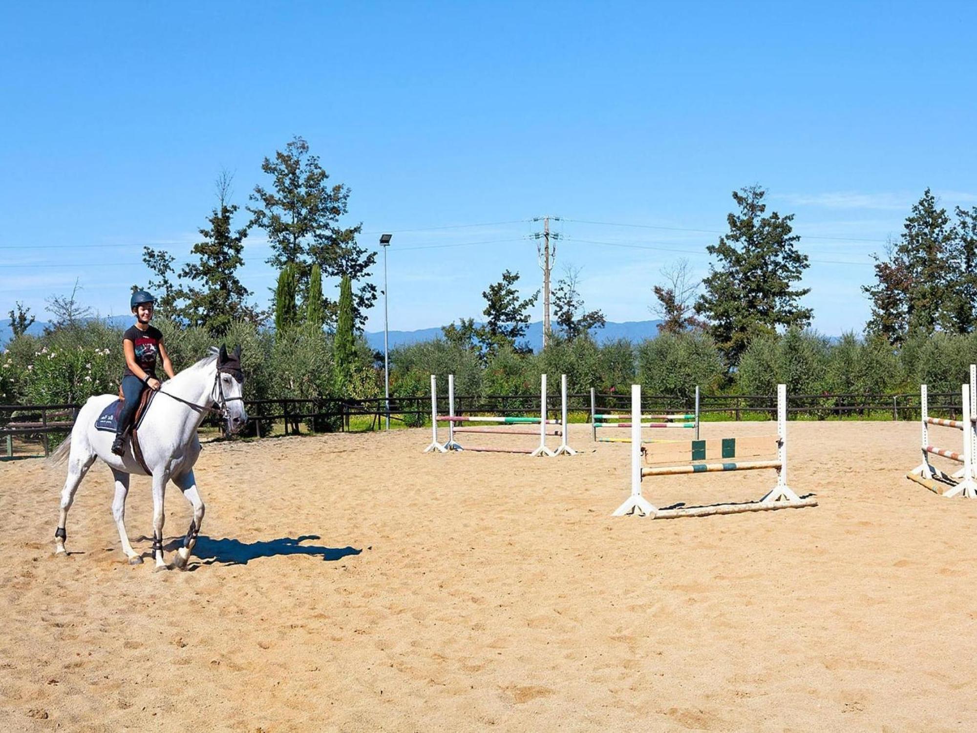 Hesse Farm Holiday Borgo Pinete Le Vedute Bagian luar foto